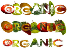 organic food